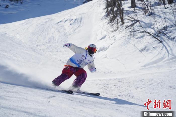 吉林站收官：500余名选手跨越年龄界限共赴冰雪